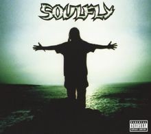 Soulfly 25th anniversary - (25th,